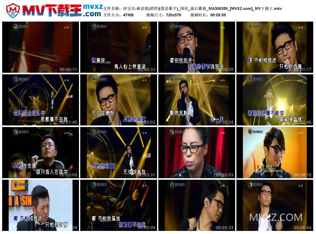 沙宝亮-秋意浓(消伴)(我是歌手)_国语_流行歌曲_MA306359